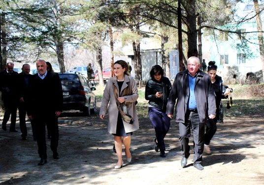 ქეთევან ციხელაშვილი ნიქოზსა და დიცში იმყოფებოდა