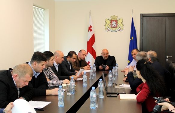 საგანმანათლებლო და სამეცნიერო ინფრასტრუქტურის განვითარების სააგენტომ სამხარეო ადმინისტრაციაში შეხვედრა გამართა