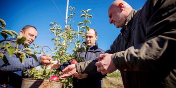 პირველი მოსავალი პროგრამის “დანერგე მომავალი” ფარგლებში