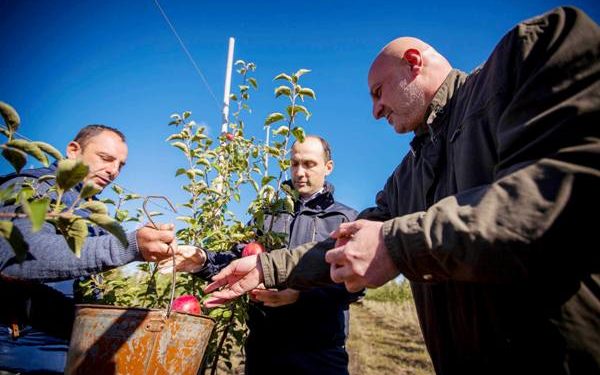 პირველი მოსავალი პროგრამის “დანერგე მომავალი” ფარგლებში
