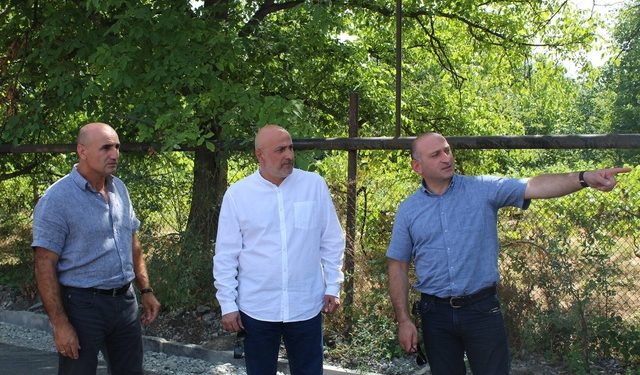 გუბერნატორი ქარელში მიმდინარე პროექტებს გაეცნო