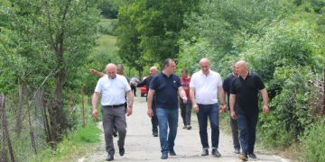 ვიდეო გალერეა