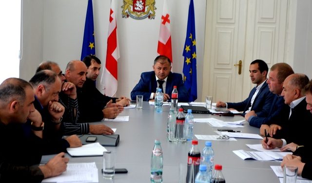 სამხარეო საკონსულტაციო საბჭოს ფორმატში მუნიციპალიტეტებში მიმდინარე პროექტები განიხილეს