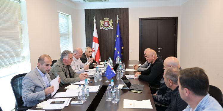 საქართველოს რეგიონული განვითარების მინისტრმა კახაბერ გულედანმა შიდა ქართლის რეგიონში შეხვედრა გამართა