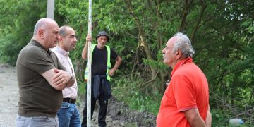 რწმუნებულის პირველი მოადგილის თანამდებობაზე მიხეილ ფავლენიშვილი დაინიშნა