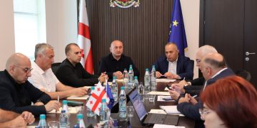 საოკუპაციო ხაზთან მდებარე სოფელ ავლევში შიდა გზის მოწყობა მიმდინარეობს