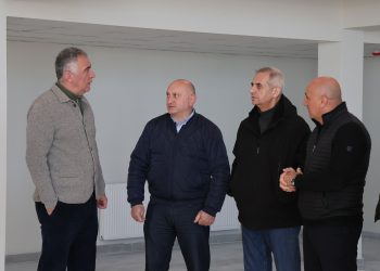 შიდა ქართლის სახელმწიფო რწმუნებულმა სიმონ გულედანმა ვარიანში გამწვანების აქციაში მიიღო მონაწილეობა