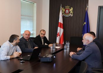 შიდა ქართლის სახელმწიფო რწმუნებულმა სიმონ გულედანმა ვარიანში გამწვანების აქციაში მიიღო მონაწილეობა