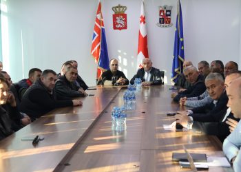 სოფელ მეჯვრისხევში უფასო სამედიცინო აქცია გაიმართა