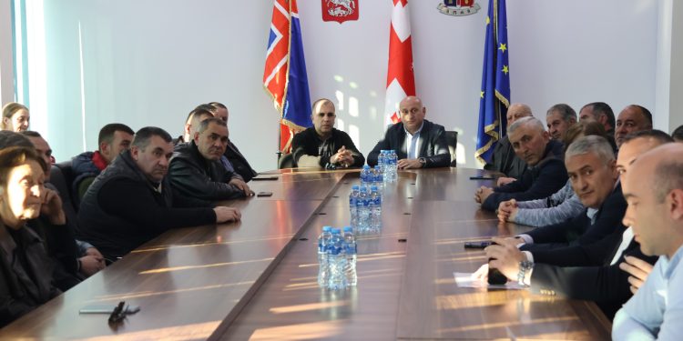 სოფელ მეჯვრისხევში უფასო სამედიცინო აქცია გაიმართა