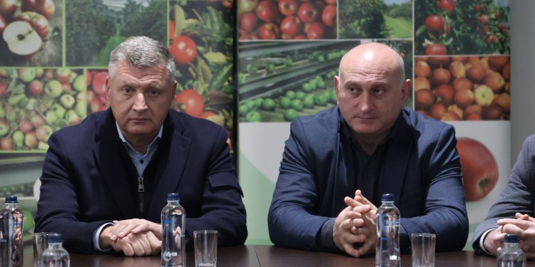 რეგიონში შემავალი მუნიციპალიტეტების თანამშრომლები გაწეული საქმიანობისთვის დაჯილდოვდნენ