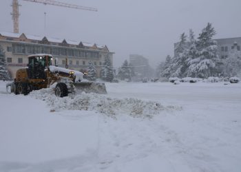 შიდა ქართლის სახელმწიფო რწმუნებულის მოადგილედ თამაზ ბესტაევი დაინიშნა