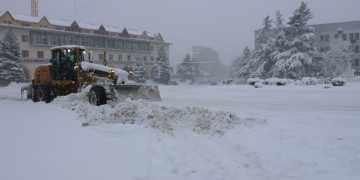 შიდა ქართლის სახელმწიფო რწმუნებულის მოადგილედ თამაზ ბესტაევი დაინიშნა